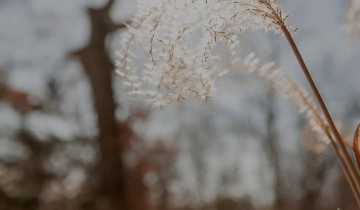 Winter Sun and Protecting Your Eyes