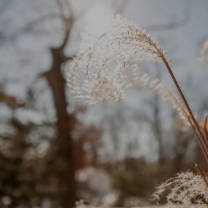 Winter Sun and Protecting Your Eyes