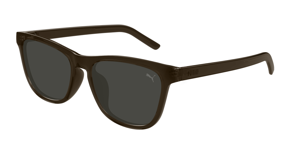 Puma Sunglasses Brown - PU0501SA-004